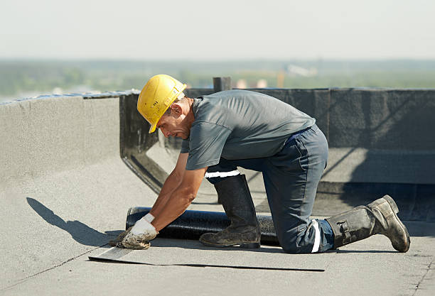 Best Specialty Insulation in Jasper, AL